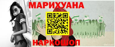 стаф Дубна