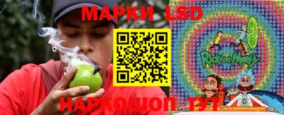 стаф Дубна