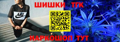 стаф Дубна