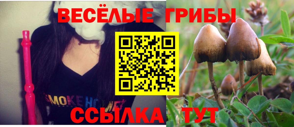 Псилоцибиновые грибы Magic Shrooms Бирск