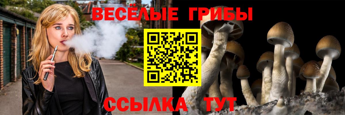 Галлюциногенные грибы MAGIC MUSHROOMS  Вход с VPN  Псилоцибиновые грибы мицелий  Бирск 